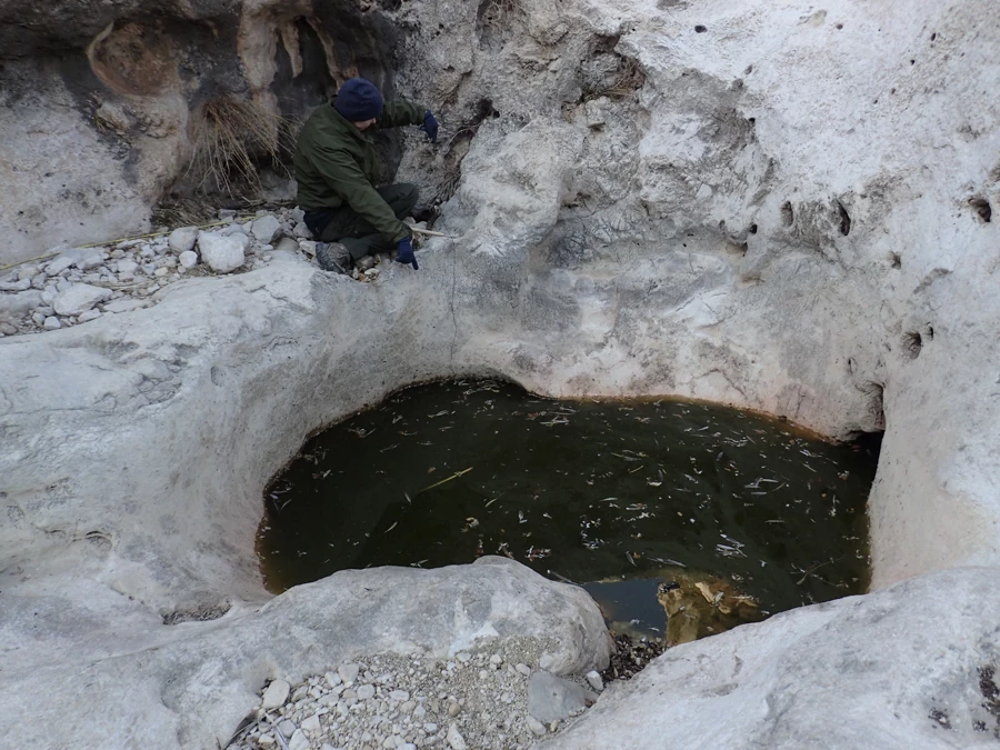Slaughter Pot Hole Pool in a large rock basin with a crew member crouched down above the pool pointing toward spring orifice on one side of the pool.