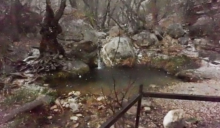 Smith Spring A channel of water flowing into a pool in a drainage filled with boulders and trees on a rainy day.