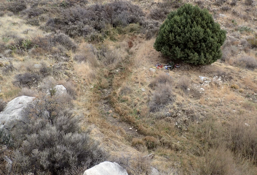 Guadalupe Spring Overview of a narrow, shallow stream curving through an open drainage lined with grasses on a slope in an open desert grassland with scattered shrubs.