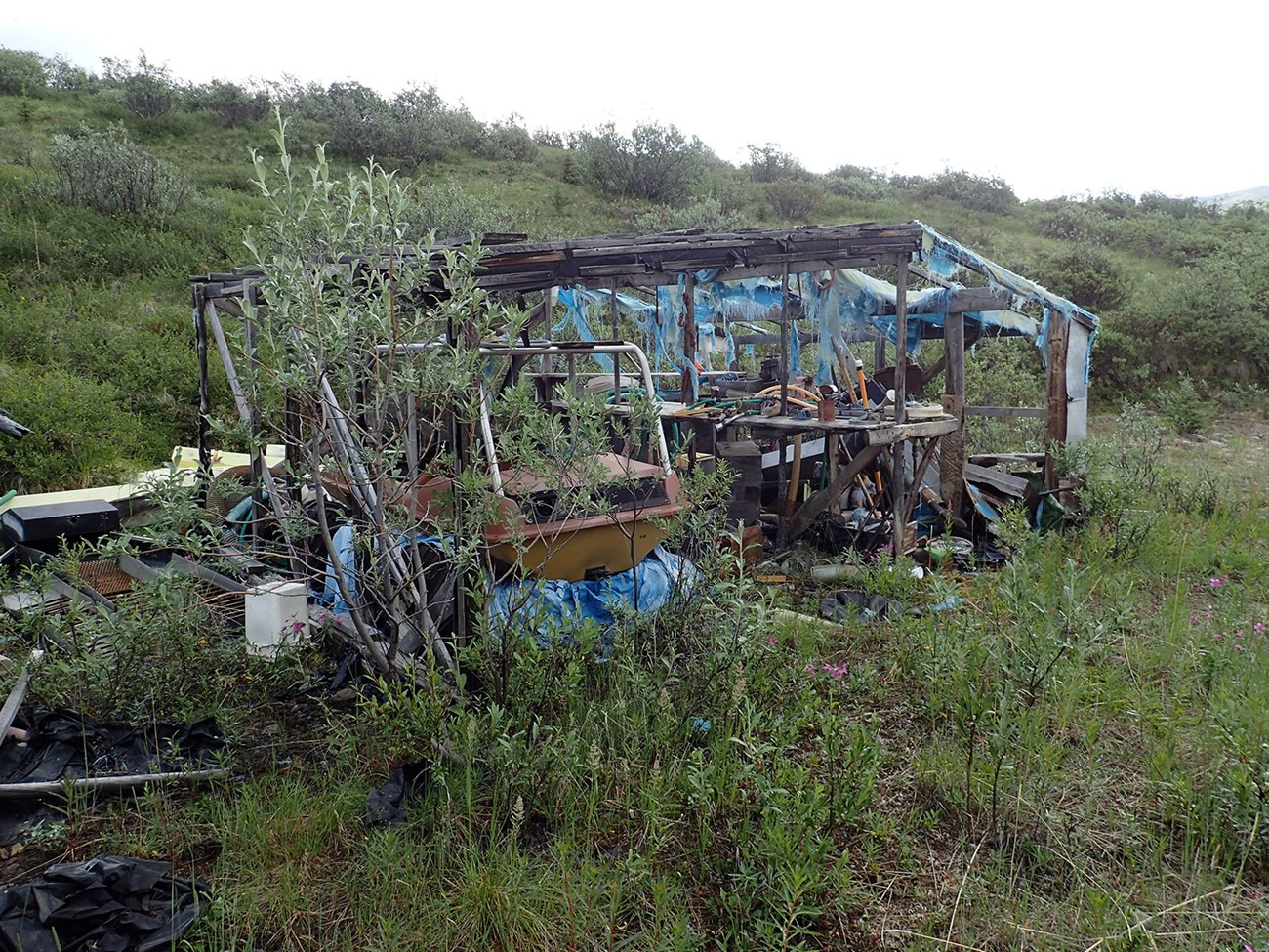 P7171646_web An old structure with shredded blue tarp and a jumble of mining tools and debris.