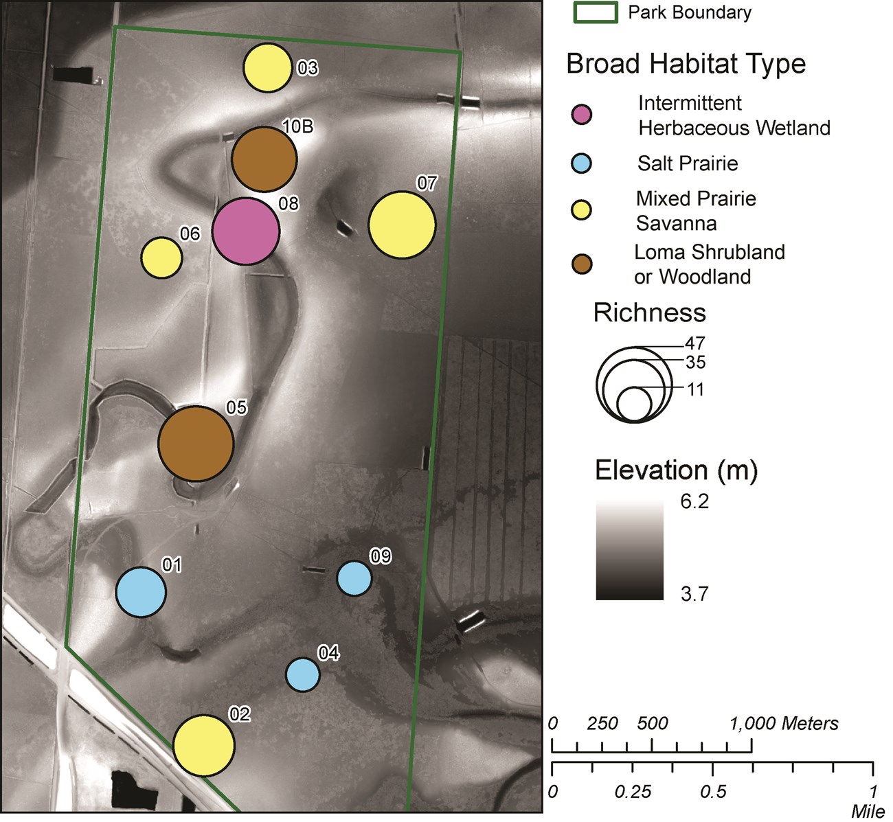 Map showing vegetation sampling points scale to show richness and colored to represent habitat type. Map showing vegetation sampling points scale to show richness and colored to represent habitat type.