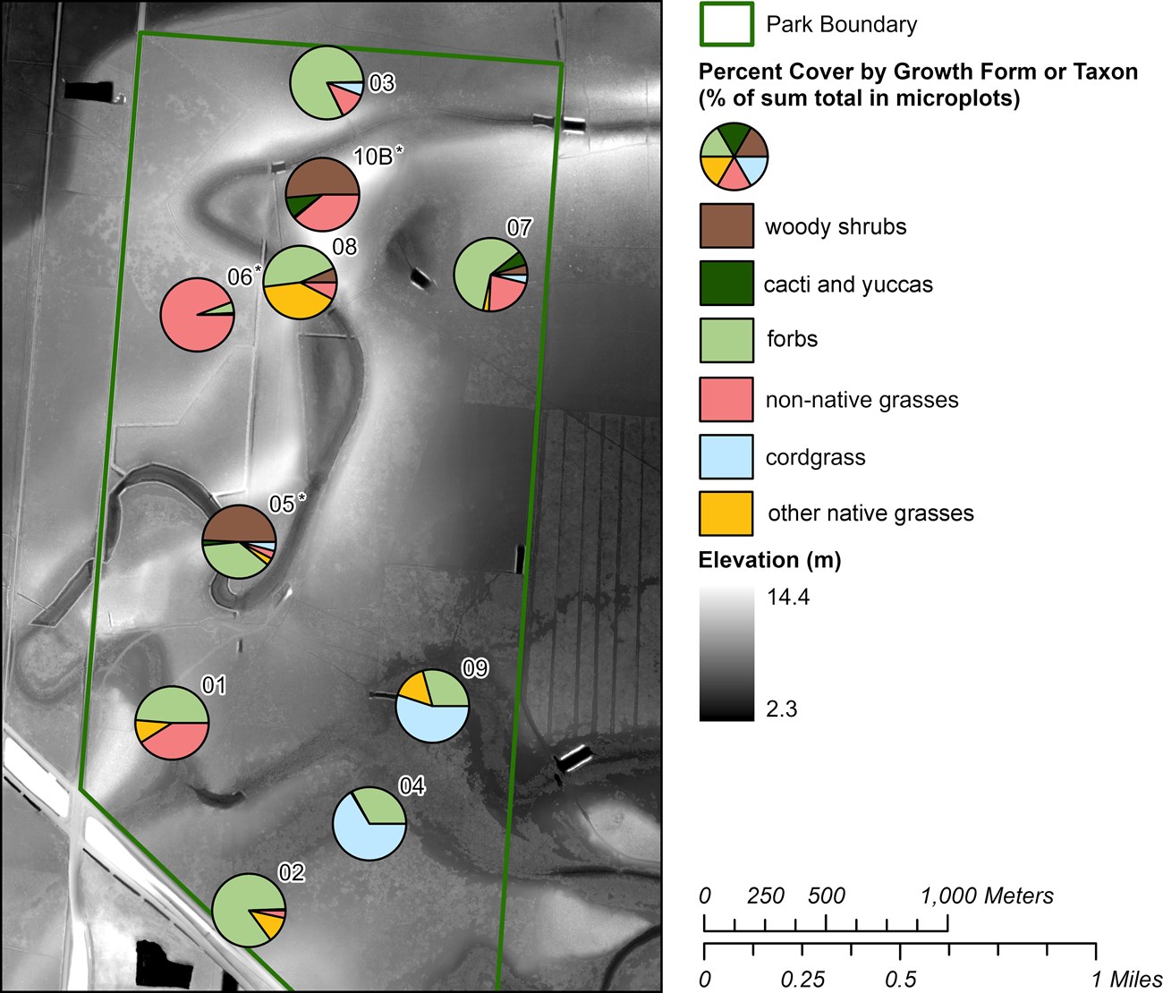 Map showing relative percent cover of vegetation growth forms or taxa withing vegetation monitoring plots at Palo Alto Battlefield. Map showing relative percent cover of vegetation growth forms or taxa withing vegetation monitoring plots at Palo Alto Battlefield.