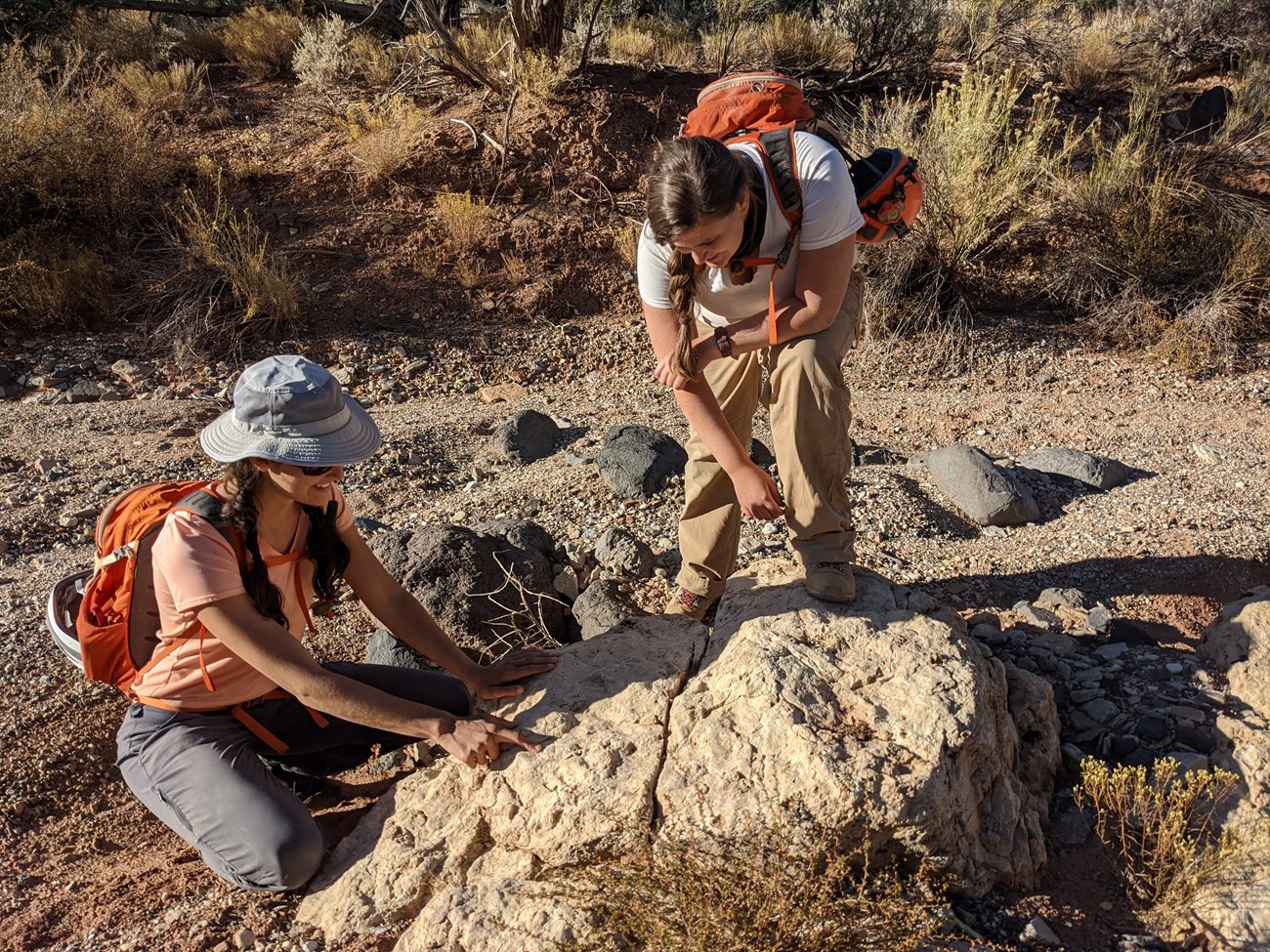 PARA_figure_1 two people examine fossils in a large rock