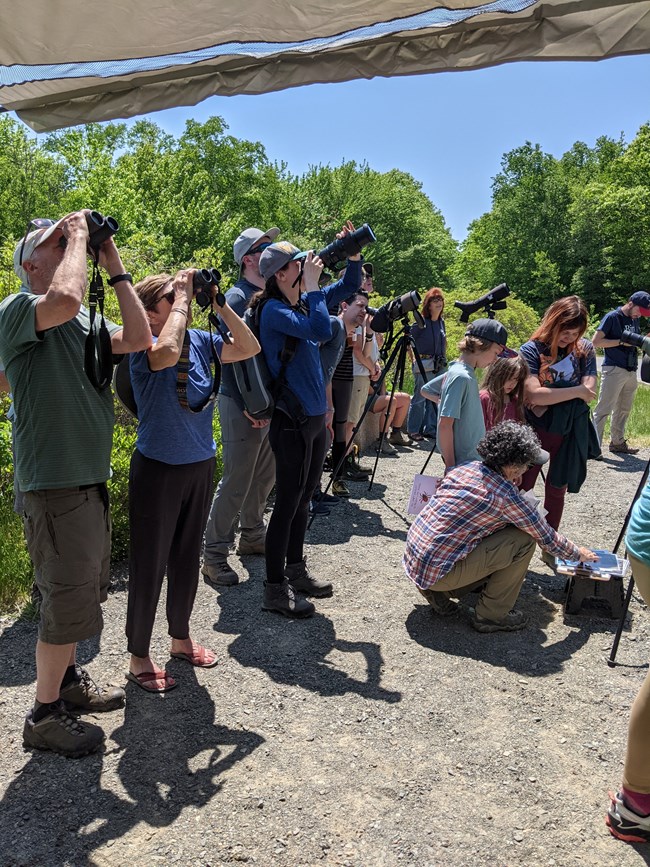 A small crowd of people with binoculars, spotting scopes and cameras with long lenses pointed skyward