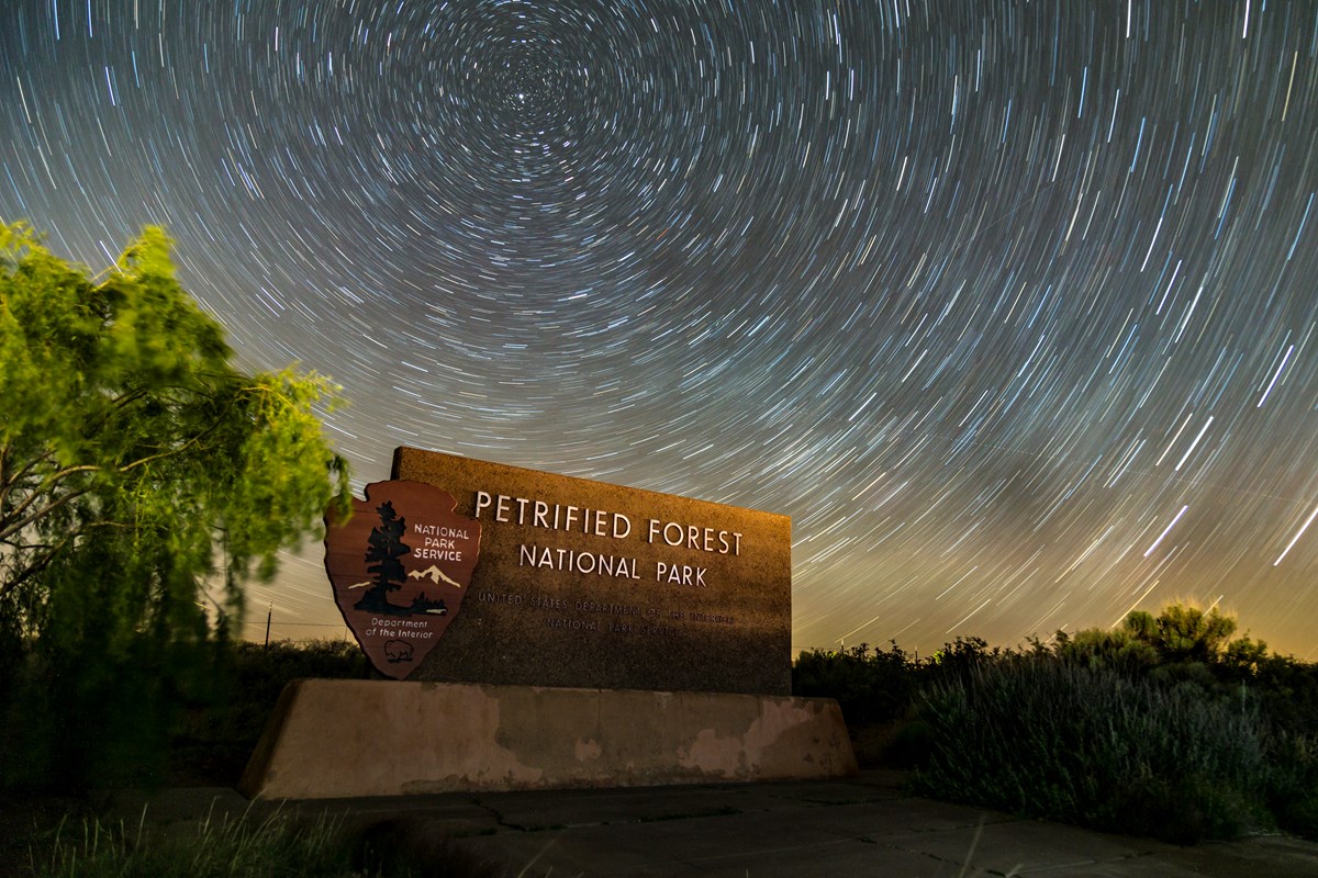 A tan sign reads "Petrified Forest National Park" with an arrowhead symbol to the left. In the background is a green tree lit up at night against a black night sky. Stars swirl in a circle from a long exposure around the north star.