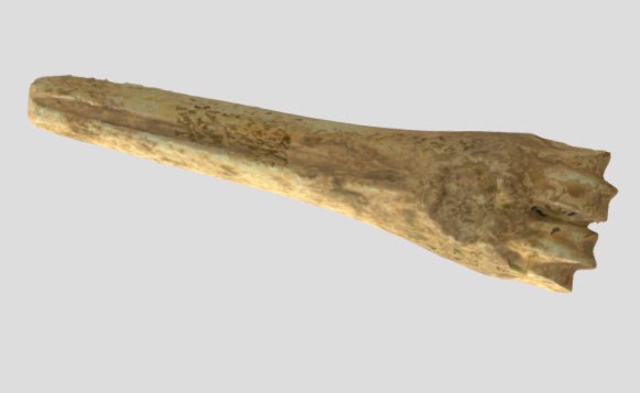 Bone awl Bone awl
