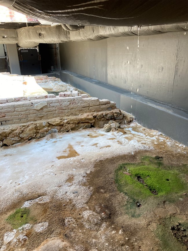 Areas of concern at the President's House Site Salt and bio growth near 18th century brick, surrounded by dirt