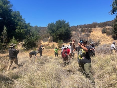 People collecting grass in a field.