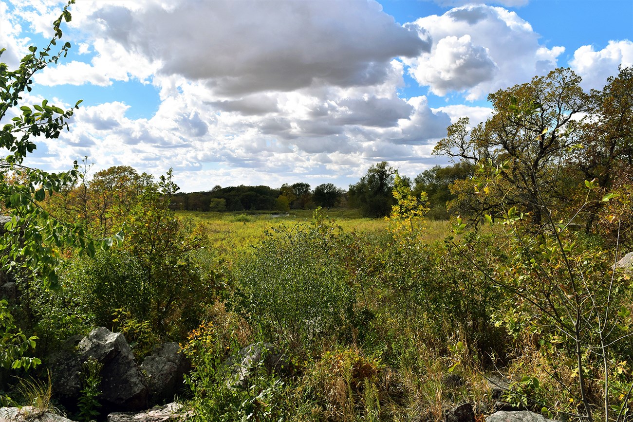 Pipestone National Monument Shrubs and large rocks in front of a prairie and woodland in the distance under a blue sky with heavy, scattered clouds.