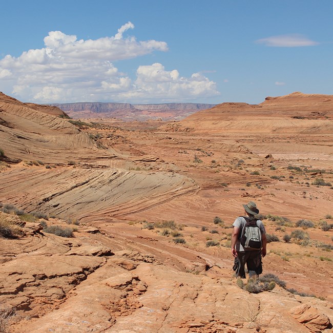 Hiker along winding rock trail