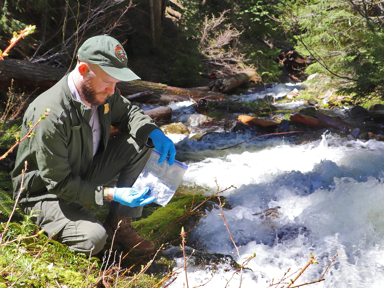 Swapping a packet Person in an NPS uniform crouches by a splashing section of stream, holding a plastic bag with a charcoal packet inside with rubber-gloved hands.