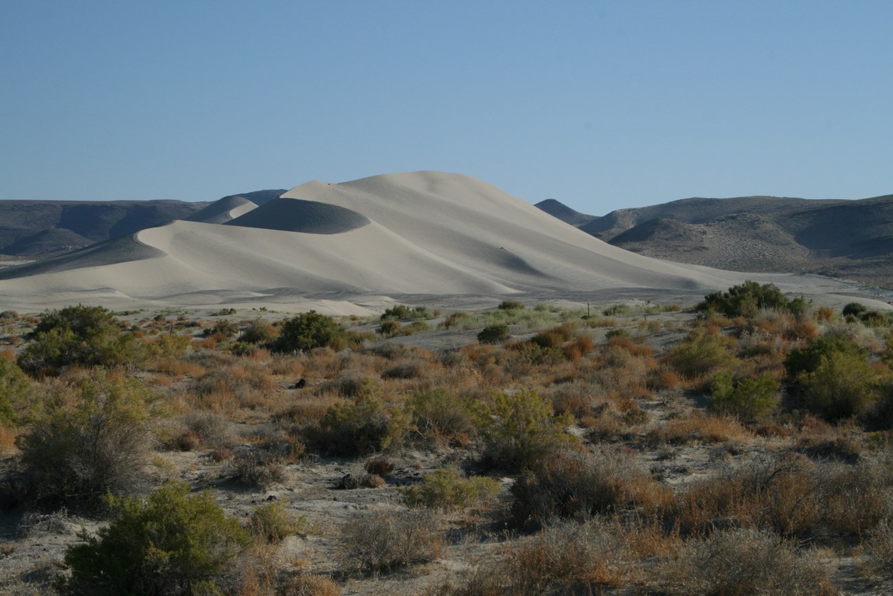 Large sand dunes in the distance.