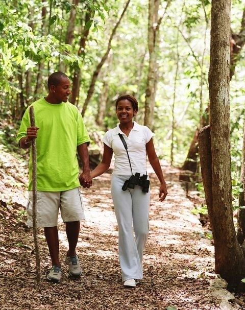 Two hikers on a wooded trail