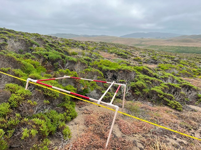 A costal dune with measuring pipes.