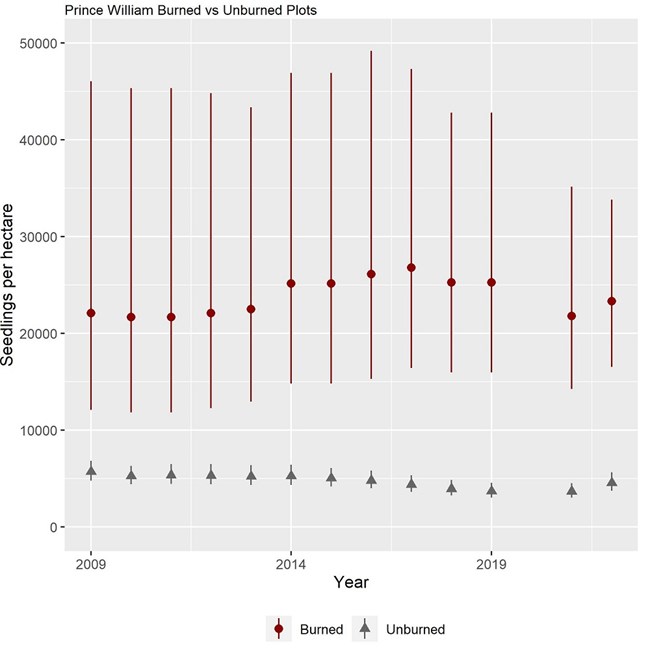 Graph with seedlings per hectare on the y-axis ranging from 0 to 50,000 and year on the x-axis ranging from 2009-2019.