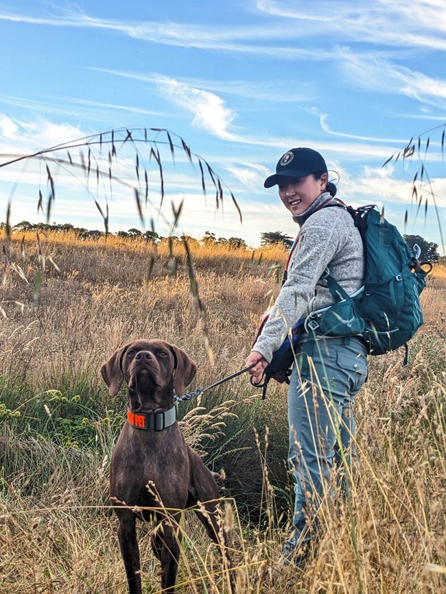 Conservation detection dog team Person in a National Park Service volunteer hat holding a brown dog on a leash as it faces the camera and sniffs up into the air.