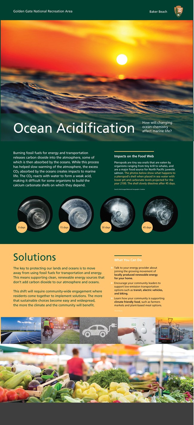 Interpretive flyer Brochure showing information about Ocean Acidification
