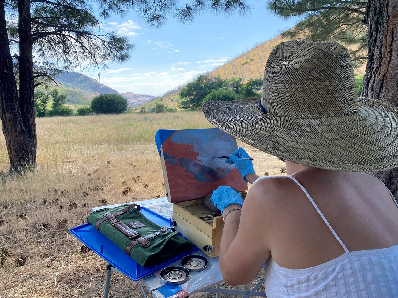 Woman in straw hat and white sundress sits in the shade of evergreen trees while painting a scene of grass and mountains.