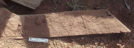 A long brownish red flat slab of stone laying on and jutting up from the ground among the dirt and rubble. A small black and white measuring stick is in the foreground.