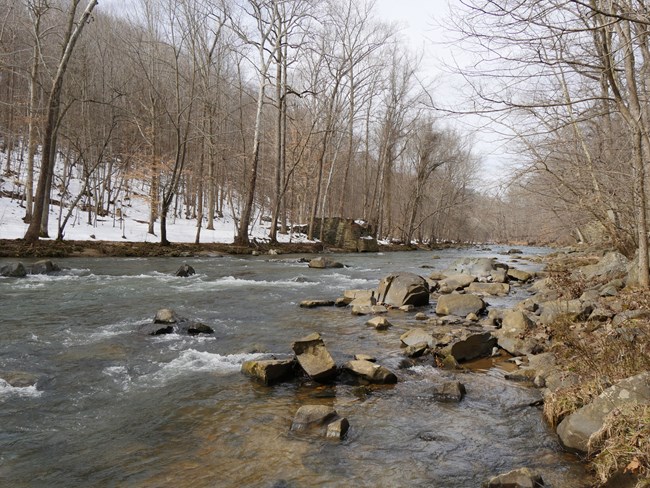A stream running through rocks and trees in the winter.