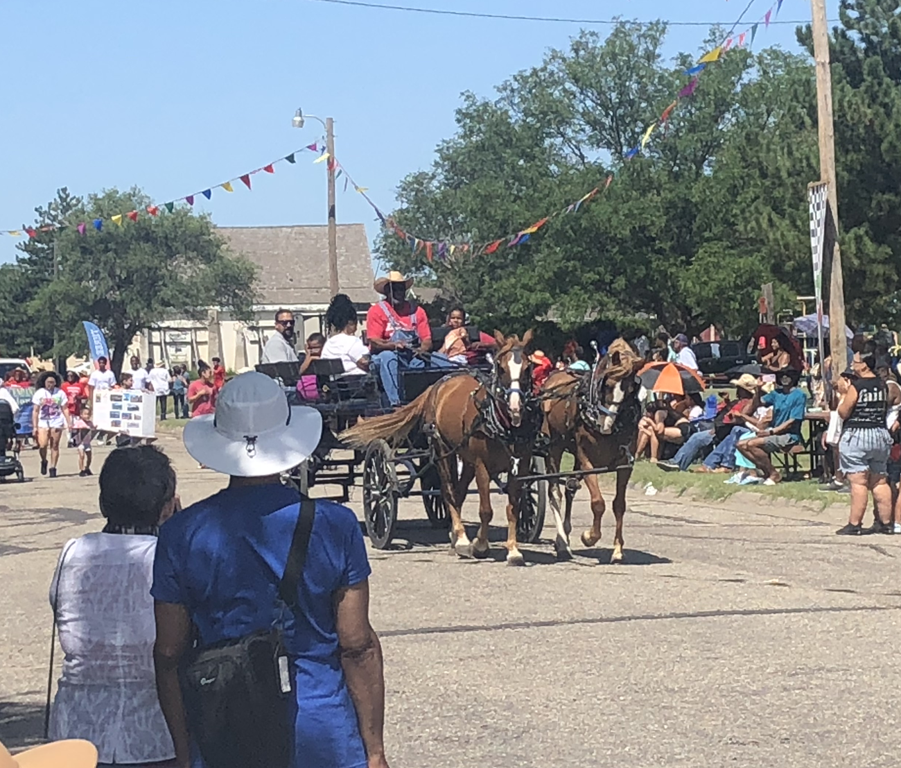 Horse drawn buggy leading a parade