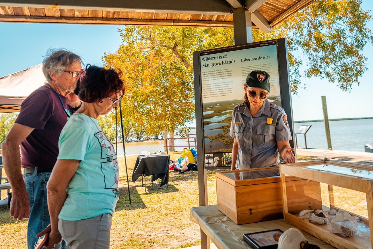 Park visitors listening to a talk about fossil bones. Park visitors look at a fossil display case while a park employee talks to them