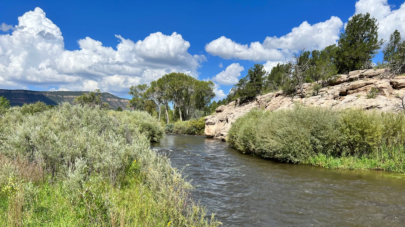 Pecos River A full river flows with green vegetation on either side. Exposed bedrock hangs over the water on the right.