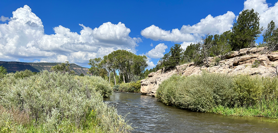 Pecos River A full river flows with green vegetation on either side. Exposed bedrock hangs over the water on the right.