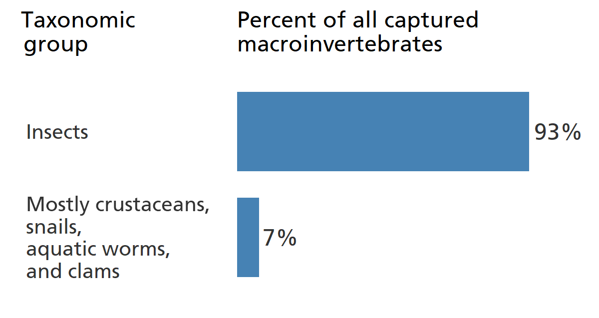 Blue bar chart showing insects make up 93% of the park's benthic macroinvertebrate community. Blue bar chart showing insects make up 93% of the park's benthic macroinvertebrate community.