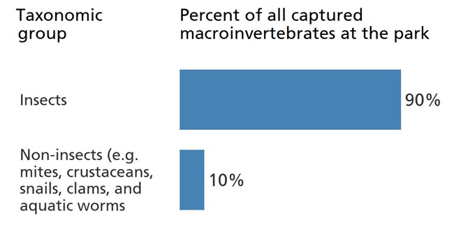 Blue bar chart showing insects make up 90% of the park's benthic macroinvertebrate community.