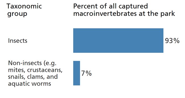 Blue bar chart showing insects make up 93% of the park's benthic macroinvertebrate community.