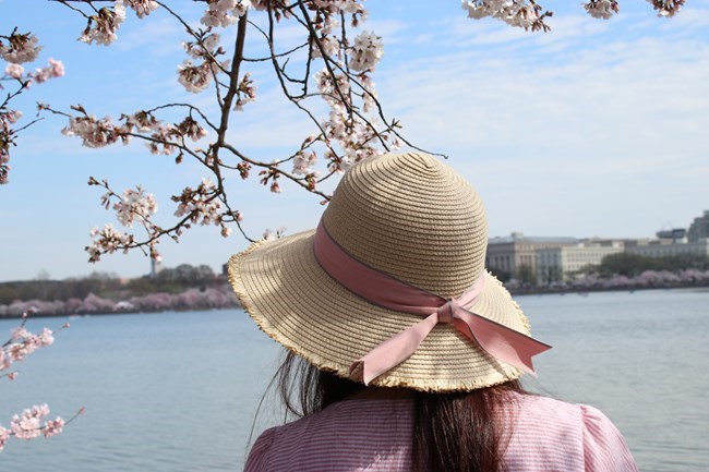 Person wearing a hat looking towards a tidal basin