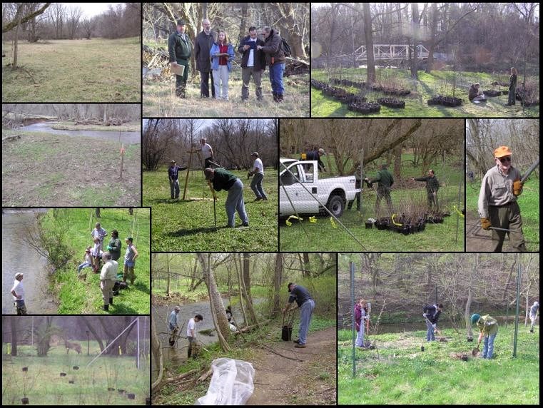 A collage of photos showing groups of volunteers working and planting shrubs