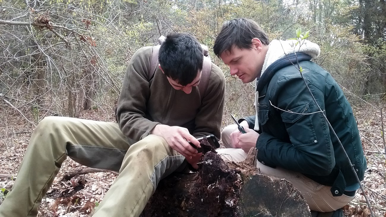 two people looking at a specimen.
