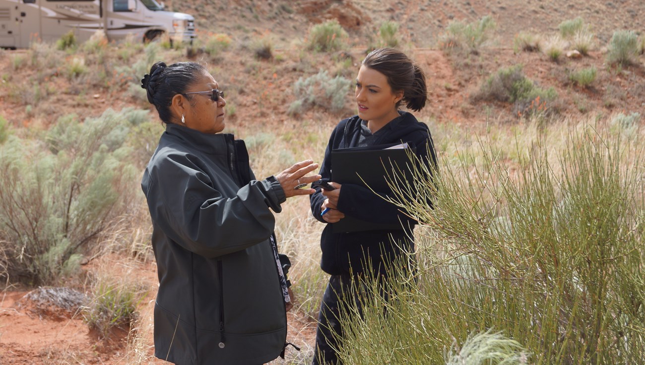 Two people identifying plants