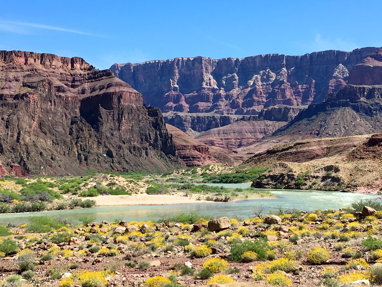 High, red and brown horizontally striped cliffs tower above a meandering turquoise river banked by yellow-flowered green bushes and cream-colored sand.