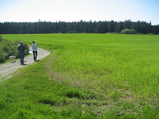 A man and woman walk a dog on a trail by an open green field with evergreen trees in the distance under a blue sky.