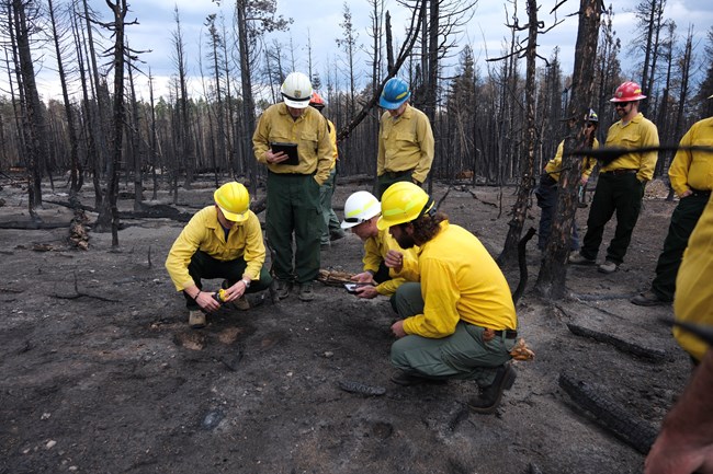 A group of men in a circle wearing yellow