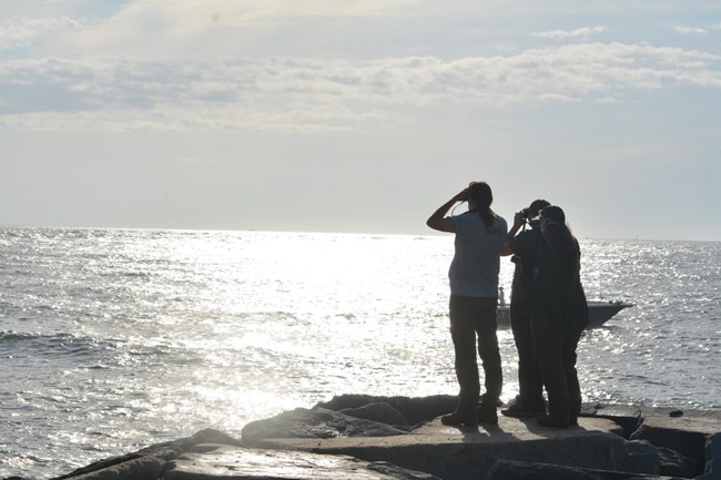 Pic 3_surveys and staff_NPS National Park Service staff and Scientists in Parks intern stand on a jetty near the Ocean City Inlet (MD-ISS-Plot 1), surveying for shorebirds