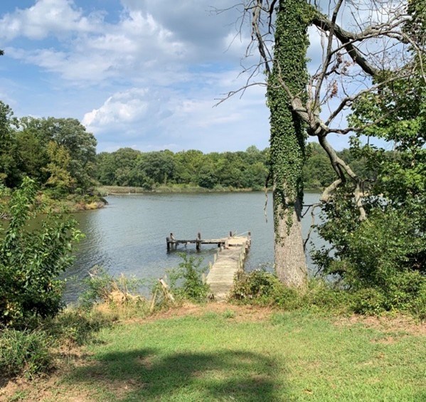 Image of an existing dock located at the Whitehall site. Image of an existing dock located at the Whitehall site.