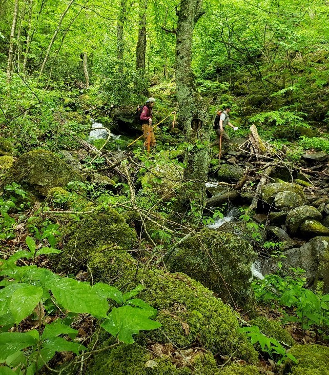 APHN in the Field Two people walking across rocks and vegetation in the forest