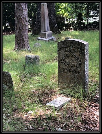 Thomas Young's Tombstone Tombstone