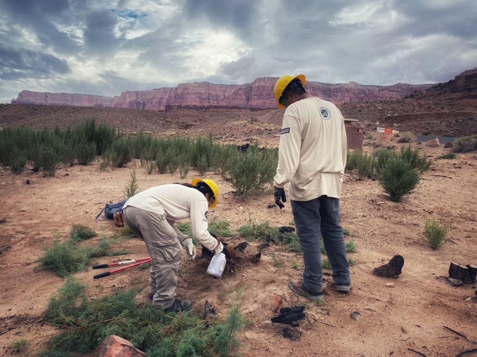 Glen Canyon Invasive Plant Mitigation Two men in yellow hardhats standing in a dirt field spraying invasive plants.