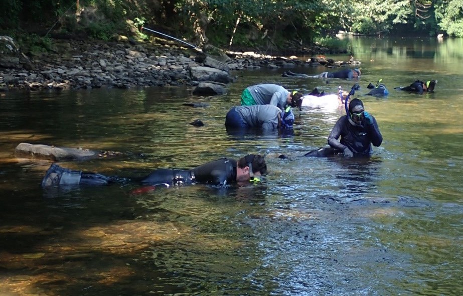Clearing mussels from a trail river crossing People wading and snorkeling in a mountain stream
