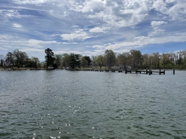 Image from the water looking at the existing dock located at the Holly Beach Farm site. Image from the water looking at the existing dock located at the Holly Beach Farm site.