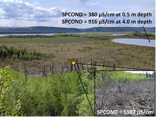 Picture3_web An annotated image of the lake with dead vegetation inset.