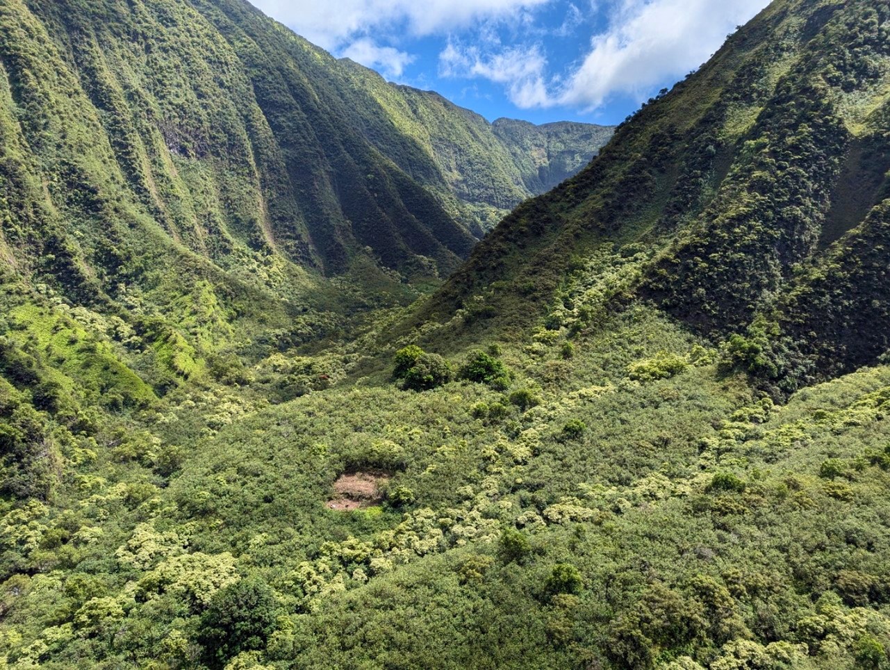Picturesque valleys Beautiful, lush green valley with steep, grooved walls.