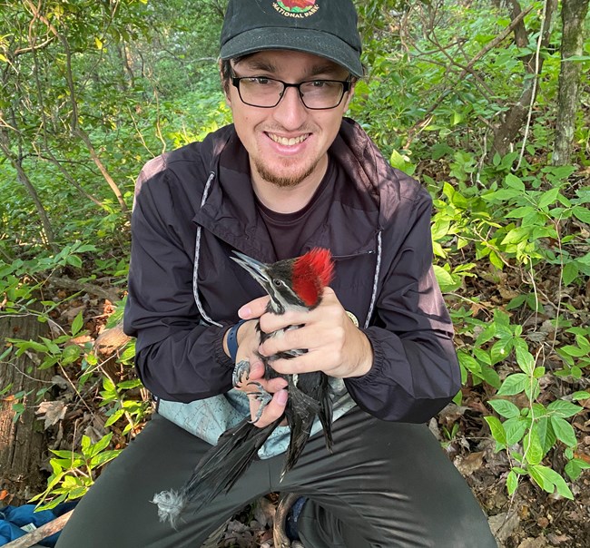Wayne holds a pileated woodpecker man in hat and glasses holding a bird