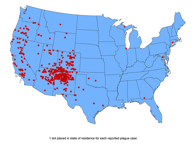 Map of reported cases of human plague