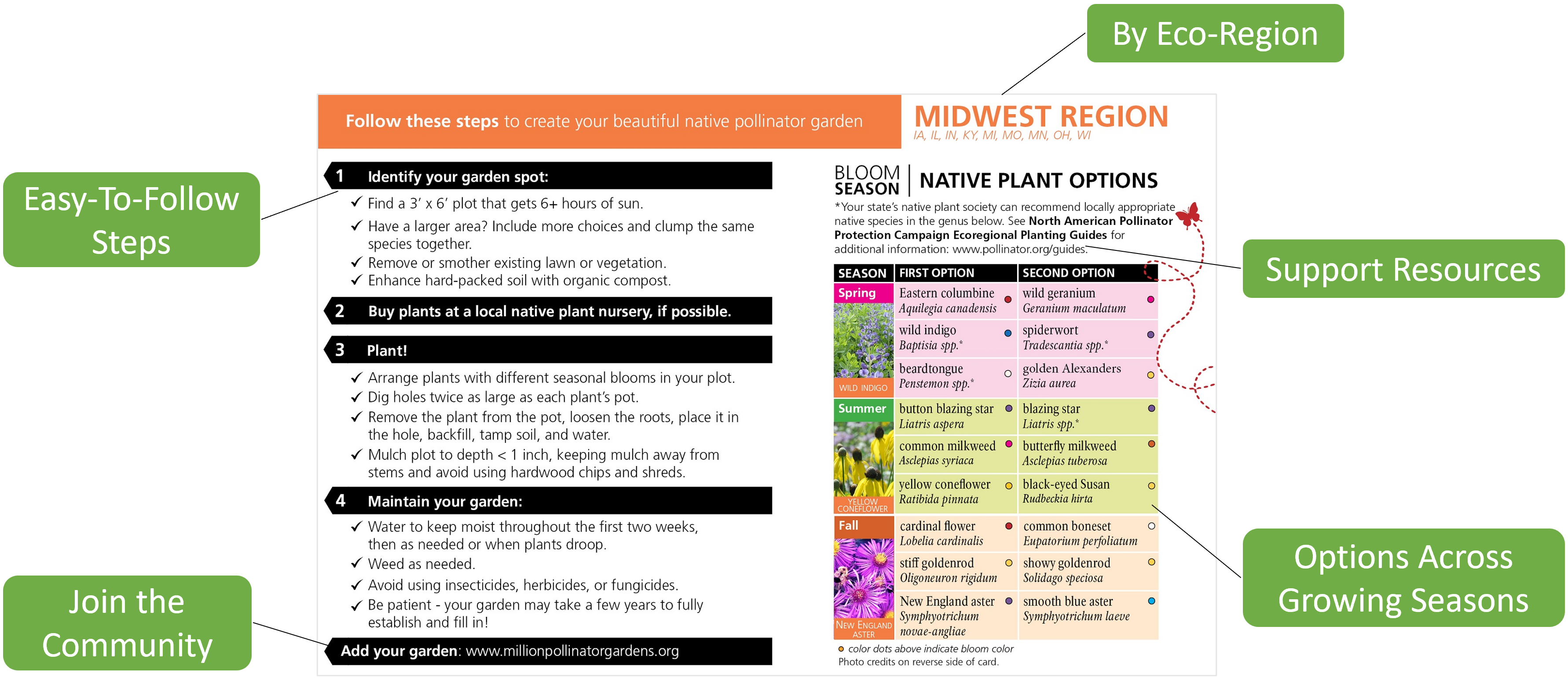 Pollinator garden card of the midwest region with the following called out: "by eco-region, support resources, options across growing seasons, easy-to-follow steps, join the community"